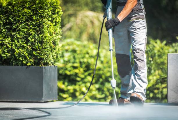 Best Patio and Deck Pressure Washing  in King George, VA